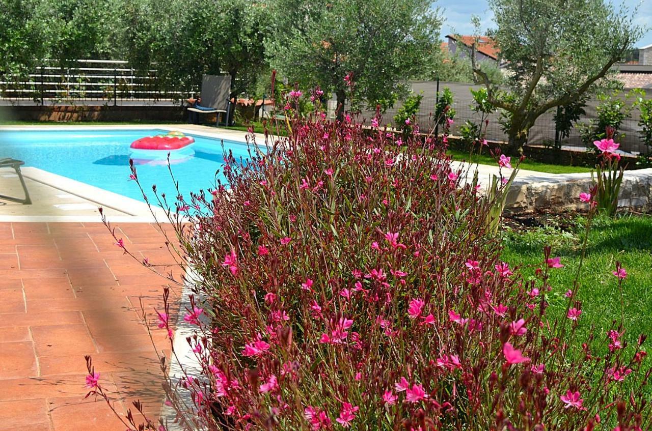 Holiday Home Sverko Novigrad Istria المظهر الخارجي الصورة